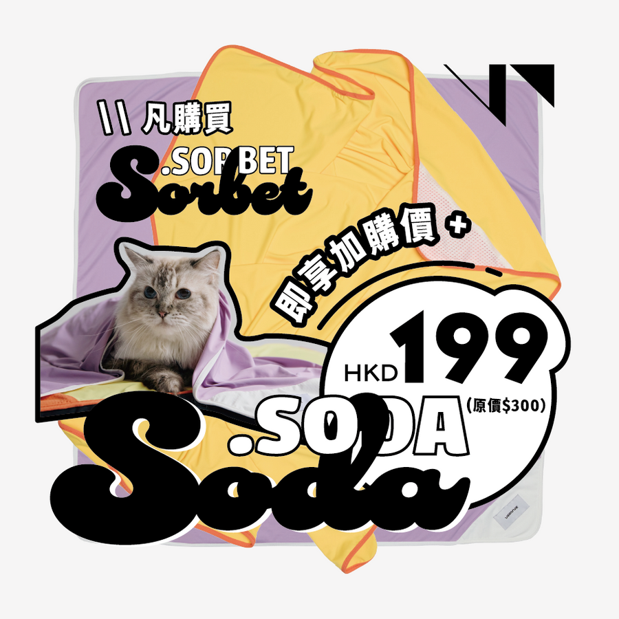 Sorbet